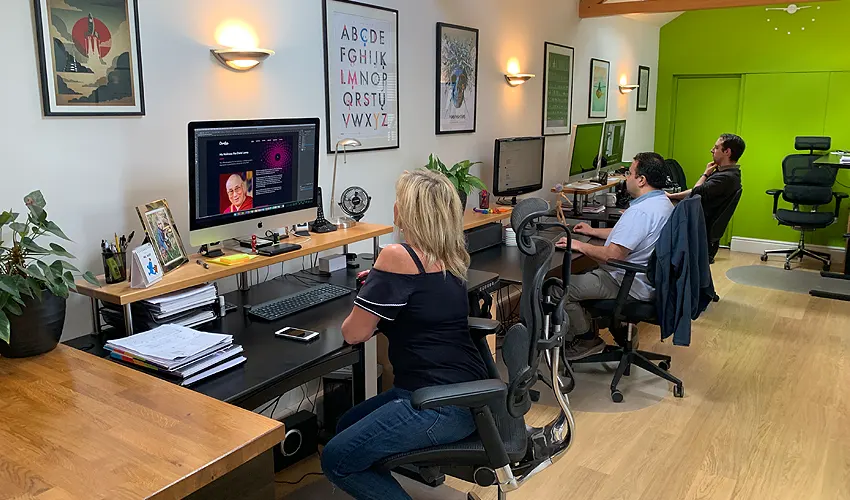 Chameleon team in the office